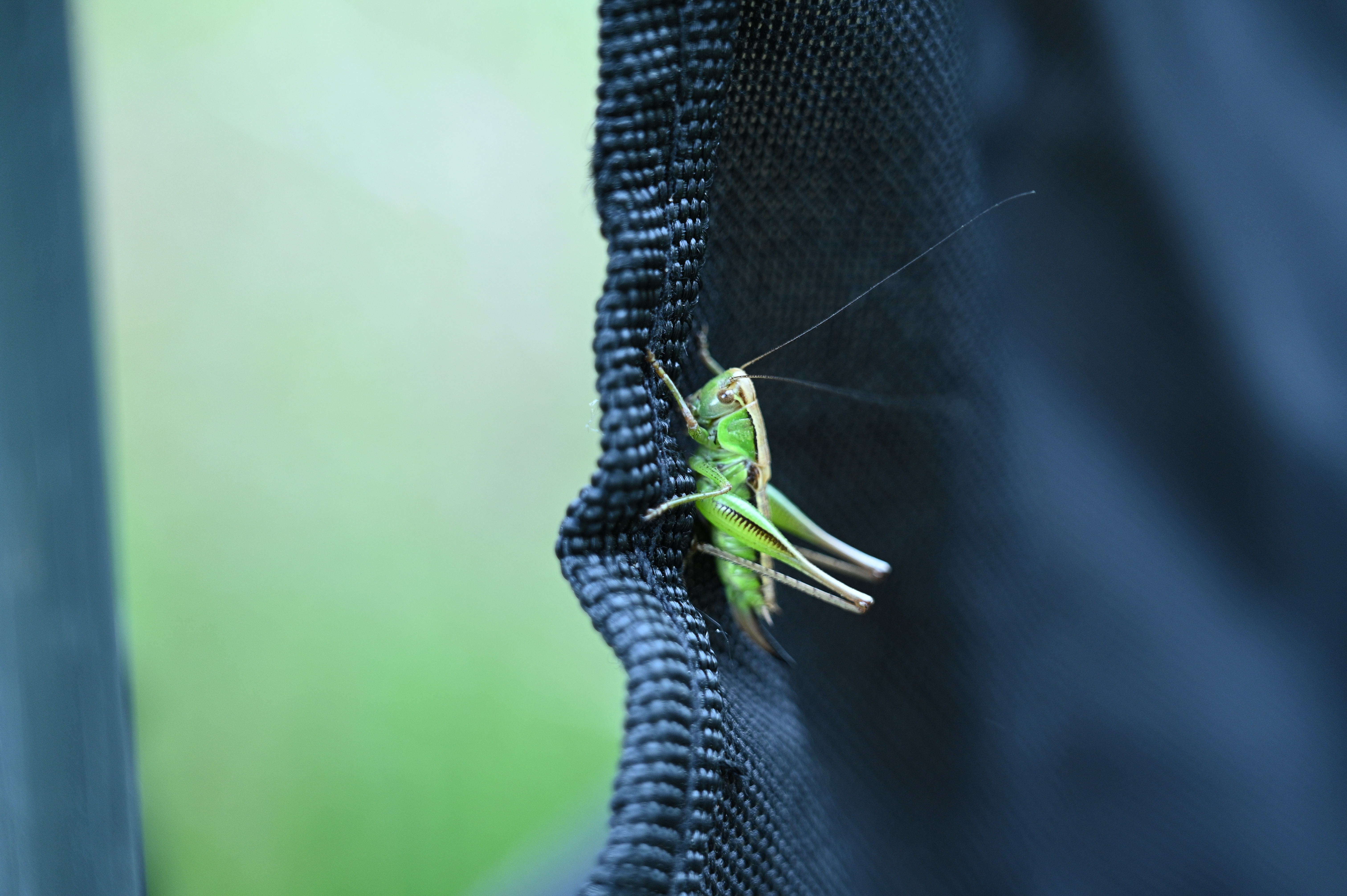 2025/07/09-14 - trip/DSC_0038.JPG